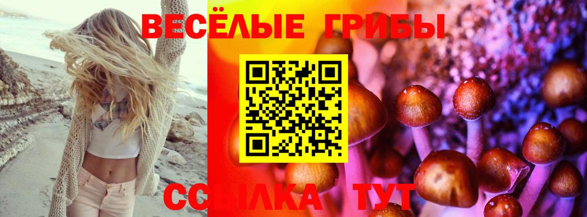 Канаш  Псилоцибиновые грибы Psilocybe  Вход с VPN 